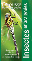 Insectes et araign�es