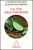 La vie des fourmis